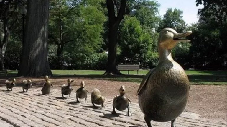 bonnie sculpture-Bronze Duck Family Sculpture900x700